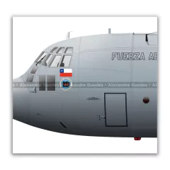 LOCKHEED HERCULES C-130H, FAC 996 en internet