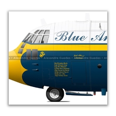 LOCKHEED HERCULES C-130T, US NAVY - FAT ALBERT en internet