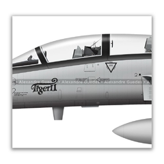 NORTHROP F-5F TIGER II, FAB 4808, 1º/14º GAV en internet