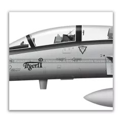 NORTHROP F-5F TIGER II, FAB 4808, 1º/14º GAV en internet