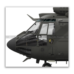 AEROSPATIALE HM-3 COUGAR, EB-4001, 2º BAVEX, 2º EHEG en internet