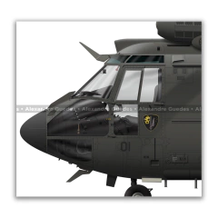 AEROSPATIALE HM-3 COUGAR, EB-4001, 2º BAVEX, 2º EHEG en internet