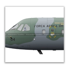 EADS C-105A AMAZONAS, FAB 2800, 1º/9º GAV na internet