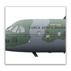 EADS C-105A AMAZONAS, FAB 2804, 1º/15º GAV na internet