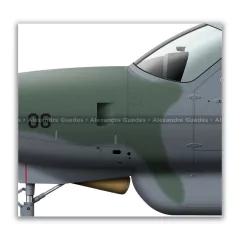 CESSNA C-98 CARAVAN, FAB 2706, 2º ETA en internet
