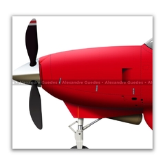 CESSNA 208B EX GRAND CARAVAN - PR-PML en internet