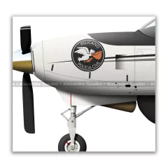 CESSNA 208B GRAND CARAVAN, PT-MEN, PCSP en internet