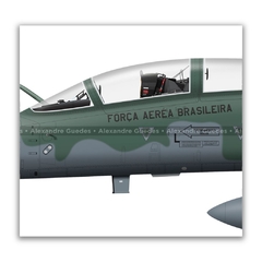 NORTHROP F-5FM TIGER II, FAB 4810, 1º/14º GAV en internet