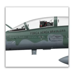 NORTHROP F-5FM TIGER II, FAB 4810, 1º/14º GAV on internet