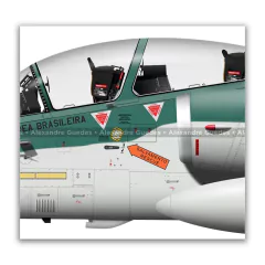 AMX INTERNACIONAL A-1B, FAB 5651, 1º/16º GAV on internet