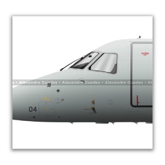 EMBRAER C-97 BRASÍLIA, FAB 2004, 6º ETA en internet