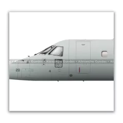 EMBRAER C-99A, FAB 2520, 1º/2º GT en internet