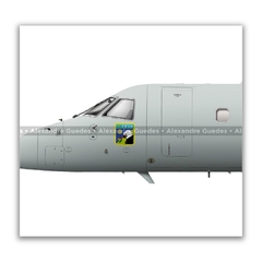 EMBRAER E-99, FAB 6701, 2º/6º GAV en internet