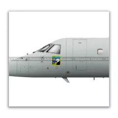 EMBRAER E-99, FAB 6701, 2º/6º GAV en internet