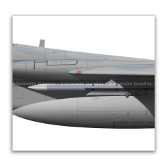 McDonnell Douglas, F-15C Eagle, S/N 85-0102, USAF - Art In Profiles - Os melhores Posters de Aviação