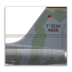 Northrop F-5EM Tiger II, FAB 4866, 1º GAVCA - Art In Profiles - Os melhores Posters de Aviação
