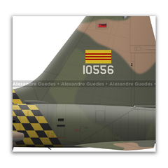 NORTHROP F-5A FREEDOM FIGHTER, RVNAF, S/N 65-10556, 63nd TFW, 522nd TFS - Art In Profiles - Os melhores Posters de Aviação