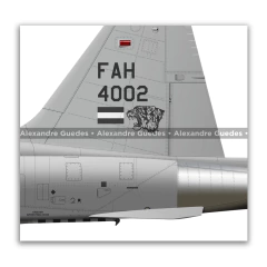 Northrop F-5F Tiger II, Fuerza Aérea Hondureña, FAH 4002 - tienda online
