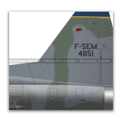 Northrop F-5EM Tiger II, FAB 4851, 1º GAVCA - Art In Profiles - Os melhores Posters de Aviação