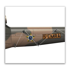 Bell 205 D/H Iroquois UH-1H, FAB 8538, 5º EMRA, BASM - Art In Profiles - Os melhores Posters de Aviação