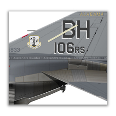 MCDONNELL DOUGLAS RF-4C PHANTOM II, USAF, S/N 65-0833, 117th TRW, 106th TRS. - Art In Profiles - Os melhores Posters de Aviação