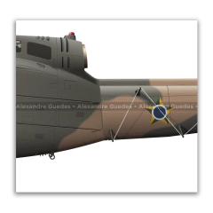 Bell 205 D/H Iroquois UH-1H, FAB 8538, 5º EMRA - Art In Profiles - Os melhores Posters de Aviação
