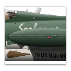 AERMACCHI/EMBRAER, AT-26 XAVANTE, FAB 4601, PACAU, SORBONE - Art In Profiles - Os melhores Posters de Aviação