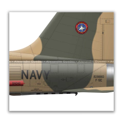NORTHROP F-5E TIGER II, U.S. NAVY, BuNo 159880, FWS "TOPGUN". - Art In Profiles - Os melhores Posters de Aviação