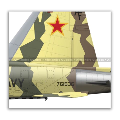 NORTHROP F-5N TIGER II, U.S. NAVY, BuNo 761536, AF 02, VFC-13. - Art In Profiles - Posters e Livros sobre Aviação