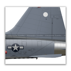 NORTHROP F-5N TIGER II, U.S. NAVY, BuNo 761547, 105, VFC-111. - Art In Profiles - Os melhores Posters de Aviação