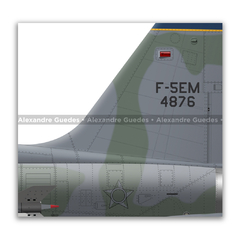 Northrop F-5EM Tiger II, FAB 4876, 1º GAVCA - Art In Profiles - Os melhores Posters de Aviação