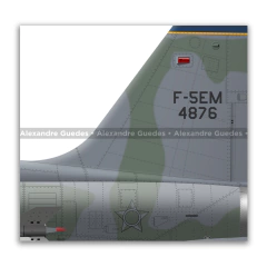 Northrop F-5EM Tiger II, FAB 4876, 1º GAVCA - Art In Profiles - Os melhores Posters de Aviação