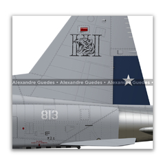 Northrop F-5E Tiger III, Fuerza Aérea de Chile, 813 - loja online
