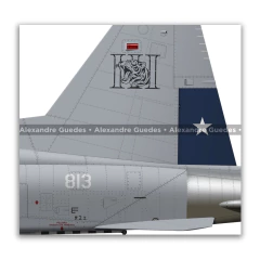 Northrop F-5E Tiger III, Fuerza Aérea de Chile, 813 - tienda online