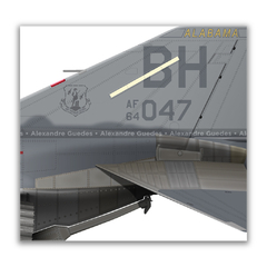 MCDONNELL DOUGLAS RF-4C PHANTOM II, USAF, S/N 64-1047, 117th TRW, 106th TRS. - Art In Profiles - Os melhores Posters de Aviação