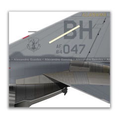 MCDONNELL DOUGLAS RF-4C PHANTOM II, USAF, S/N 64-1047, 117th TRW, 106th TRS. - Art In Profiles - Os melhores Posters de Aviação