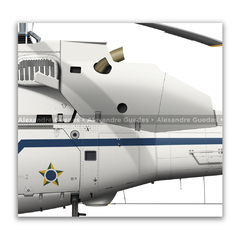 Helibrás HB-355 F2 Esquilo Biturbina/ VC-55, FAB 8818, GTE - Art In Profiles - Os melhores Posters de Aviação