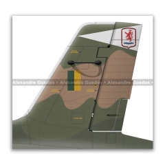 AERMACCHI/EMBRAER, AT-26 XAVANTE, FAB 4556, POKER - Art In Profiles - Os melhores Posters de Aviação