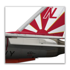 GRUMMAN F-14A TOMCAT, U.S. NAVY, BuNo 161621, NL 00, VF-111 SUN DOWNERS. - Art In Profiles - Os melhores Posters de Aviação