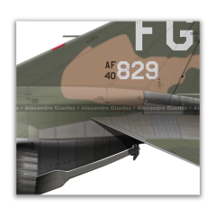MCDONNELL DOUGLAS F-4C PHANTOM II, USAF, S/N 64-0829, SCAT XXVII - Art In Profiles - Os melhores Posters de Aviação