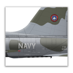 NORTHROP F-5E TIGER II, U.S. NAVY, BuNo 159881, FWS "TOPGUN". - Art In Profiles - Os melhores Posters de Aviação