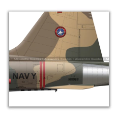 NORTHROP F-5F TIGER II, U.S. NAVY, BuNo 160965, 47, FWS "TOPGUN" - Art In Profiles - Os melhores Posters de Aviação
