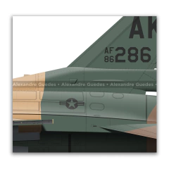 GENERAL DYNAMICS F-16C BLOCK 30 - USAF 86-0286 - Art In Profiles - Os melhores Posters de Aviação