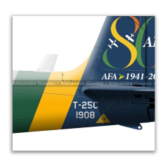 AFA 80 Anos, T-25 e T-27 com pintura comemorativa. - Art In Profiles - Os melhores Posters de Aviação