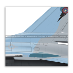 General Dynamics F-16B BLOCK 15, USN, BuNo 920461, NSAWC - Art In Profiles - Os melhores Posters de Aviação