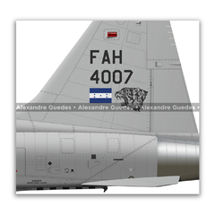 Northrop F-5E Tiger II, Fuerza Aérea Hondureña, FAH 4007 - loja online