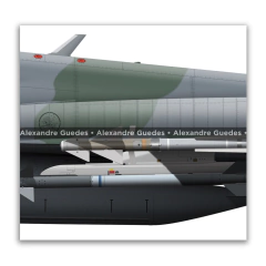 NORTHROP F-5FM TIGER II, FAB 4806, 1º/14º GAV - Art In Profiles - Os melhores Posters de Aviação