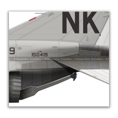 MCDONNELL DOUGLAS F-4B PHANTOM II, U.S.NAVY, BuNo 150419, VF-143 - Art In Profiles - Os melhores Posters de Aviação