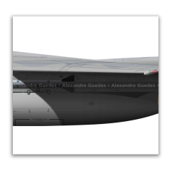 McDonnell Douglas, F-15C Eagle, S/N 84-0022, USAF - Art In Profiles - Posters e Livros sobre Aviação