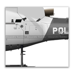 Helibrás HB-350 BA ESQUILO, PMSP, Águia 1, PP-EID - Art In Profiles - Os melhores Posters de Aviação